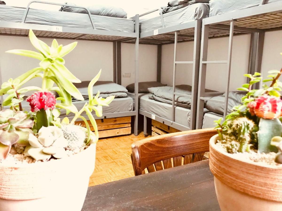 Al Yakhour Hostel Haifa Exteriér fotografie